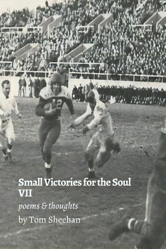 Small Victories For The Soul Vii, De Sheehan, Tom. Editorial Lulu Pr, Tapa Blanda En Inglés