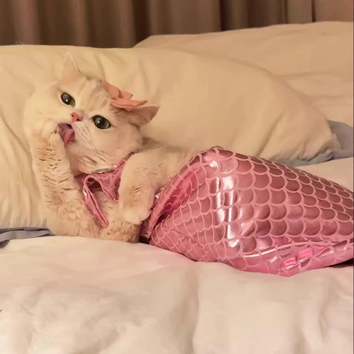 Disfraz De Gato Disfraz De Gato Ropa De Cola De De Gato Con