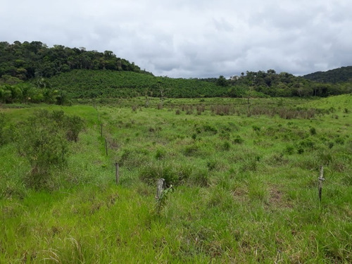 Fazenda - Fa00002 - 34684872