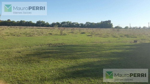 Imagen 16 de 18 de Campo - Arana