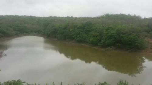 Imagen 12 de 14 de Finca En Venta En San Jose De Guaribe