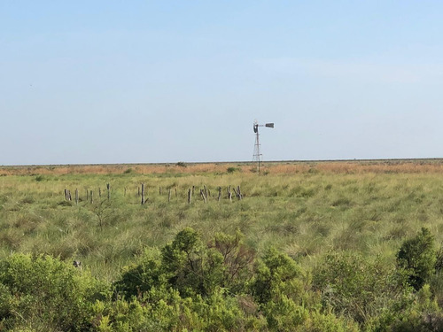 Campo En Santiago Del Estero Apto Para Explotación Ganadera (2200 Ha)