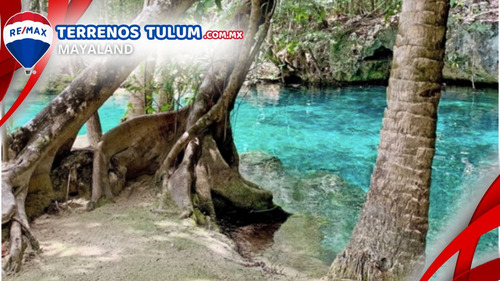 Cenote Con 17.5 Hectareas Con Frente De Carretera