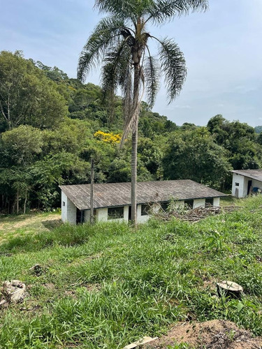 Imagem 4 de 30 de 51- Vendo Linda Chacrinha Em Ibiúna Por 65 Mil