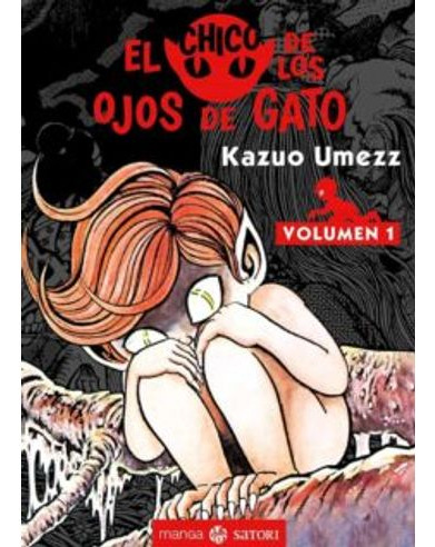 Libro El Chico De Los Ojos De Gato