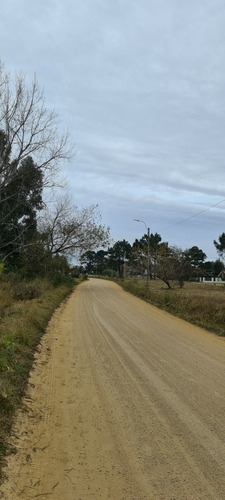 Imagen 8 de 8 de Terreno Muy Grande Y Nivelado, Ideal Vivienda Comercio. Sobre Calle Avenida Nogueira A Dos Cuadras De Ruta Interbalnearia Zona De Crecimiento Y Muy Tranquila.