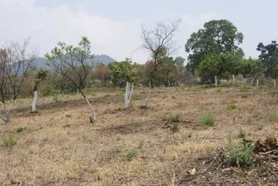 Terreno en venta