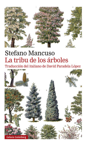 Libro La Tribu De Los Arboles - Mancuso, Stefano