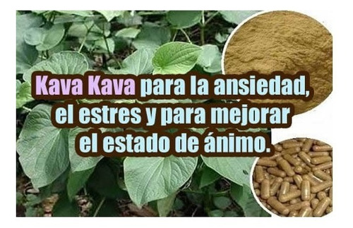 Jiaogulan 450mg Adaptogeno Antioxidante Sist Inmune Stamina