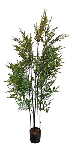 Arbusto Bambu  190 Cm Planta Verde