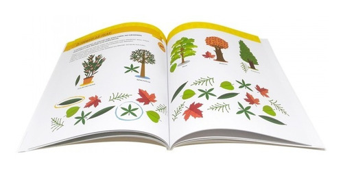 Livro Montessori Meu 1º Liv De Ativ Jardim Todolivro