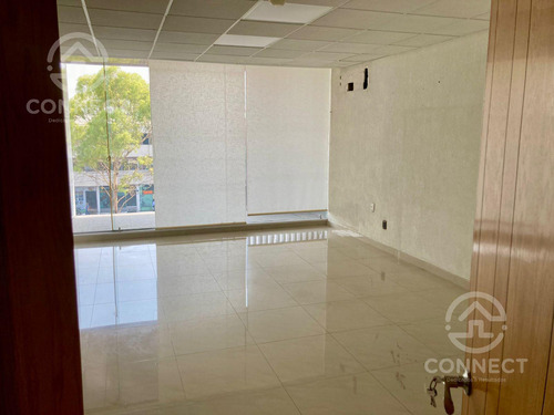 Local Renta Los Paraisos Leon Gto
