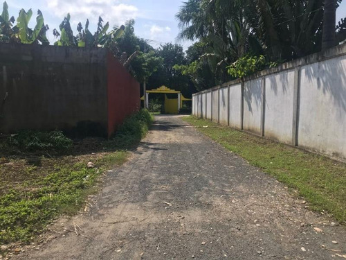 Imagen 6 de 11 de Terreno Comercial En Venta Col. El Torito