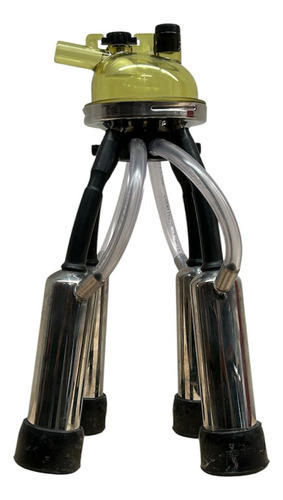Ordenhadeira Móvel Inox Motor A Gasolina Com 1 Cjt Acoplado