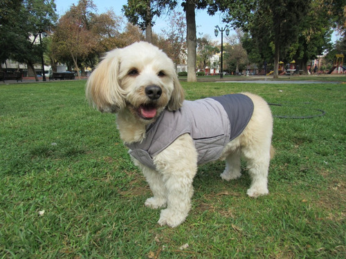 Parka Ropa Para Perros Reversible Huesito Talla 3xl Pethome