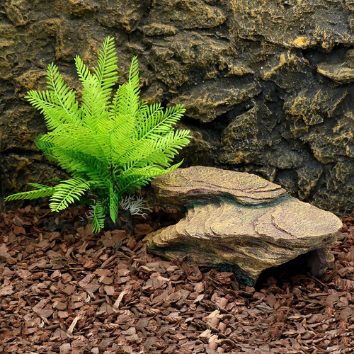 Plataforma Escondite Cuevas Acuario Tortuga Reptiles Anfibio