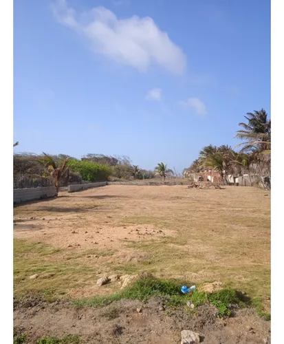 Lote Tiki Tiki
