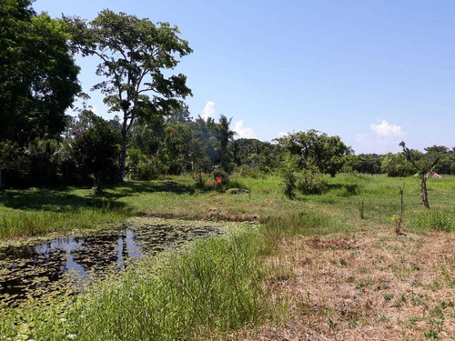 Chacara Em Peruibe Com 5 Hectares (1762)