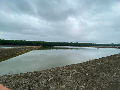 Imagen 10 de 12 de Camaronera De Venta En Guayquil, Taura, Canal De Matorrillos