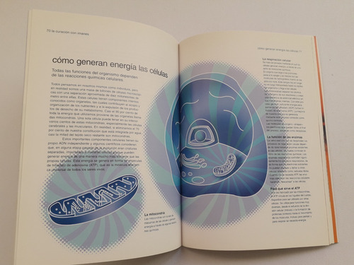 El Libro De La Magneto Terapia - Autor Roger Coghill (Usado)