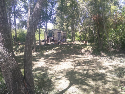 Vendo Lote Con Casilla A Termina En Isla Otamendi Campana.  