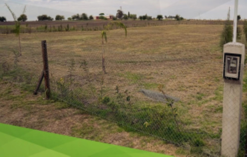 Campo Independencia