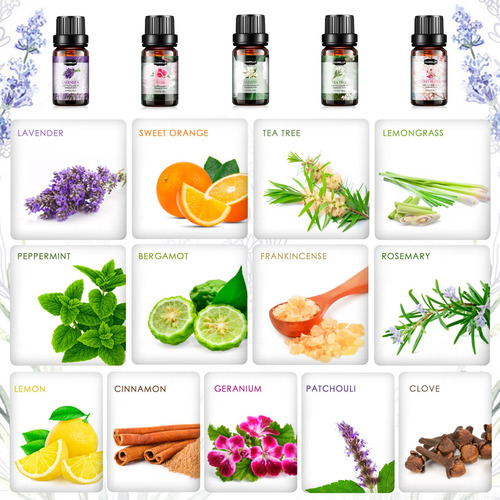 Nature Kit De 26 Aceites Esenciales Para Difusor Y Spa 5 Ml