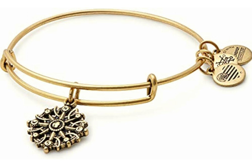 Alex And Ani Path Of Symbols Brazalete Expandible Para