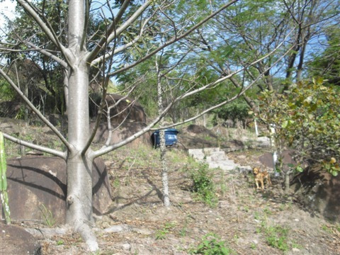 Chácara Com 4 Dormitórios À Venda, 11200 M² - Chácara Alpina - Valinhos/sp - Ch0205