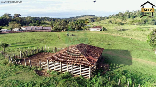 Imagem 13 de 15 de Fazenda Para Venda Em Gongogi, Zona Rural - 736_1-2090754