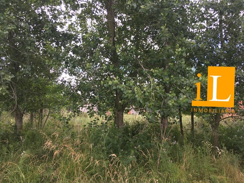 Imagen 5 de 5 de Venta De Lotes En San Vicente