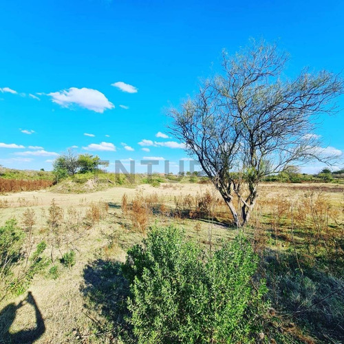 Campo Ganadero En Carcaraña. Con Quincho Y Casa
