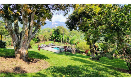 Finca En Vender En Amagá