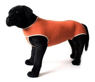 Verde Talla 2 Body Esterilización Para Hembras Verde Talla 2 Body Esterilización Para Hembras