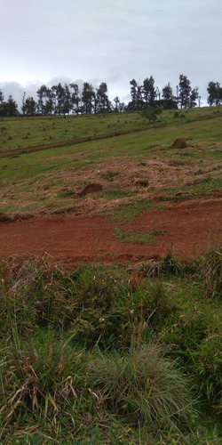 Imagem 15 de 21 de 3- Terrenos 600m² Promoção Em Igaratá!