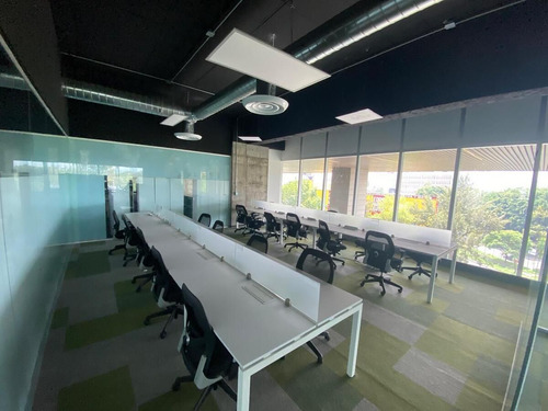 Oficina Plug And Play De 3,439 M² En Renta: Espacio Amplio Y Listo Para Ocuparlo