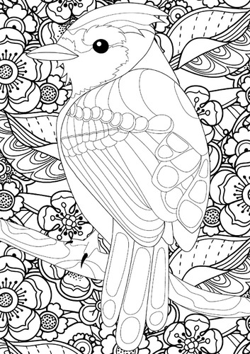 Australian Natives | Libro Anillado Colorear Pintar | Thoc