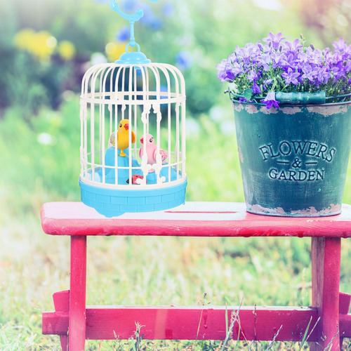 Pájaro De Inducción Activado Por Birdcage Bird