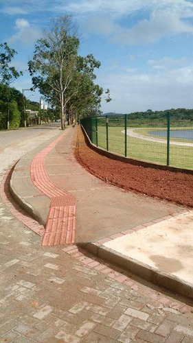 Terreno À Venda, 436 M²- Ratones - Florianópolis/sc - Te0214