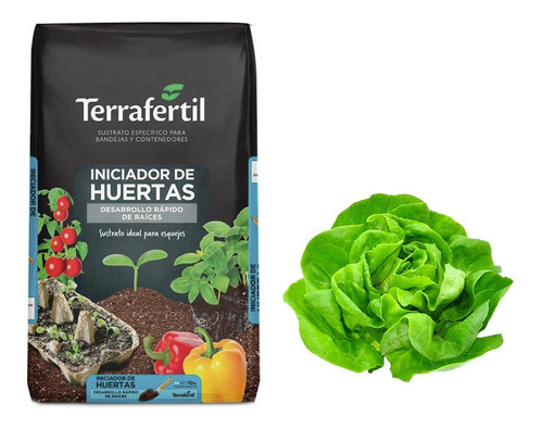 Sustrato Huertas  10lts Con Semillas De Lechuga Mantecosa