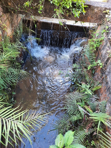 Imagem 27 de 30 de (24.000 M²) Belo Sitio À Venda Em Juquitiba/sp, Com Lago, Piscina, Salão De Festas E Trilhas Para Caminhar E Contemplar A Natureza. - 89 - 70390936