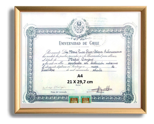 Marco Diploma Certificado Título 21x29,7cm. Dorado Deluxe