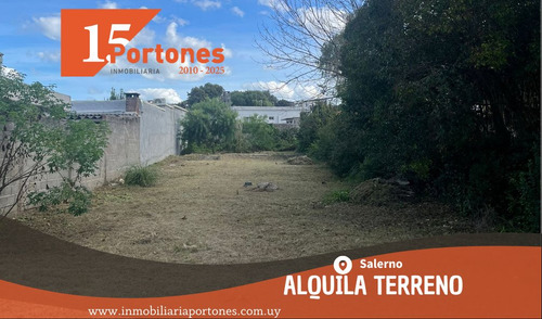Se Alquila Terreno En Carrasco Norte