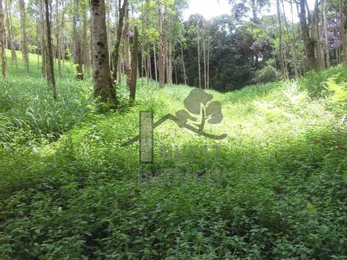 Imagem 6 de 8 de Cód 1828 - Área De 78.000 M² Com Nascente - 1828