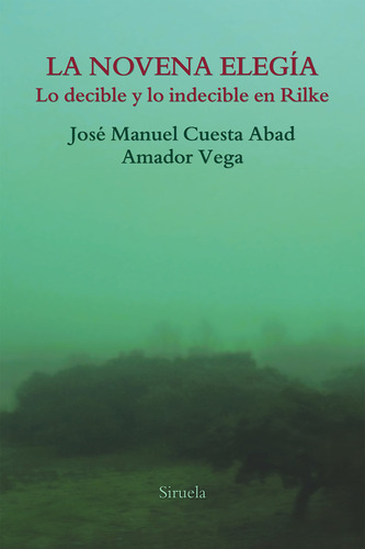 La Novena Elegía: Lo Decible Y Lo Indecible En Rilke 713h9