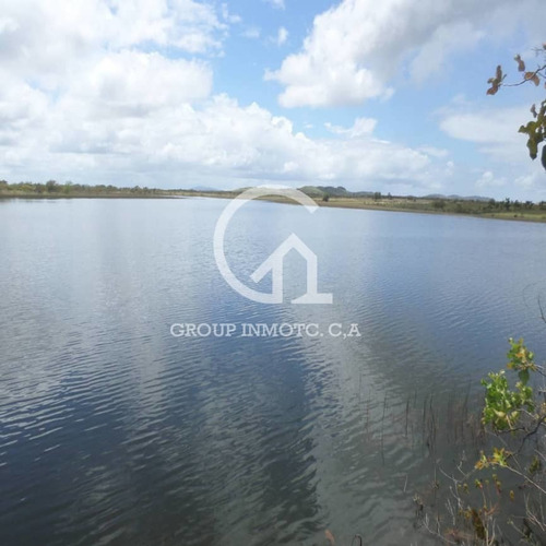 Imagen 5 de 5 de Group Inmotc Vende Finca En La Vía Upata/el Manteco