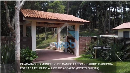 Lotes Para Chácaras No Bairro Gabiroba, Em Campo Largo, Com Metragens A Partir De 20.000,00 M², Contando Com Excelente Localização. - Ch00006 - 69235944