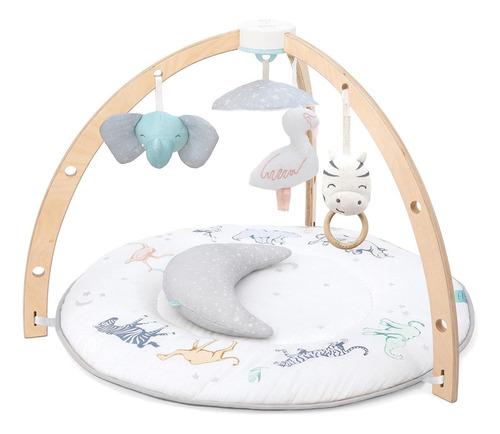 Aden + Anais Play And Discover Baby Activity Gym - 30+ Benef