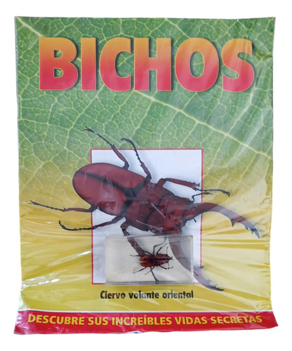 Colección Bichos Ciervo Volante Oriental Nuevo Oferta