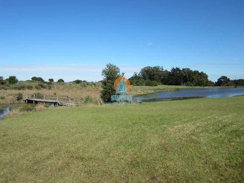 Espectacular Chacra En Jose Ignacio Compuesta Por 4 Casas Alquiler Anual- Ref: 4